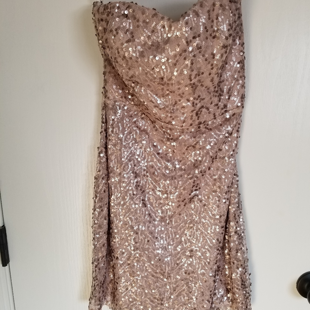 Forever 21 sequin tube dress